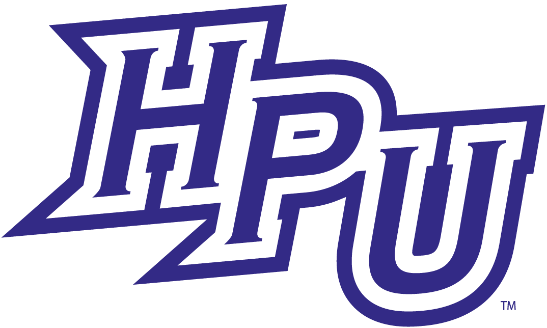 High Point Panthers 2012-Pres Primary Logo diy iron on heat transfer